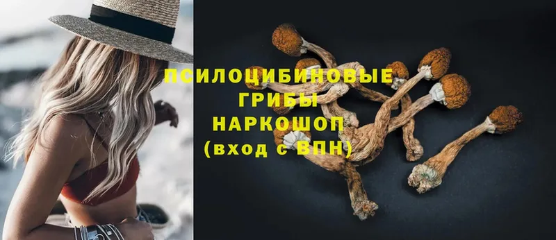 Псилоцибиновые грибы Magic Shrooms  Орлов 